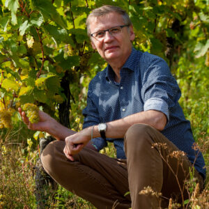 Mann im Weinberg mit Trauben in der Hand