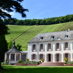 Weingut mit Herrenhaus und grüner Landschaft
